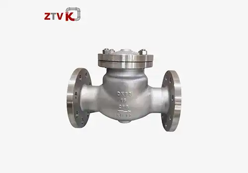 Design and use of 6 inch swing check valve